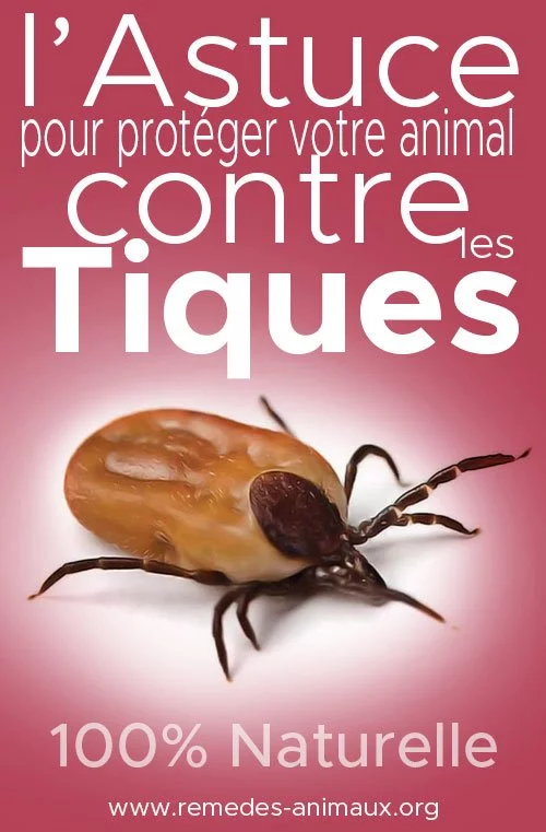 remedes contre les tiques