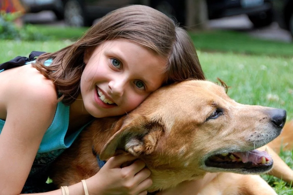 apprendre à un chien à ne pas sauter