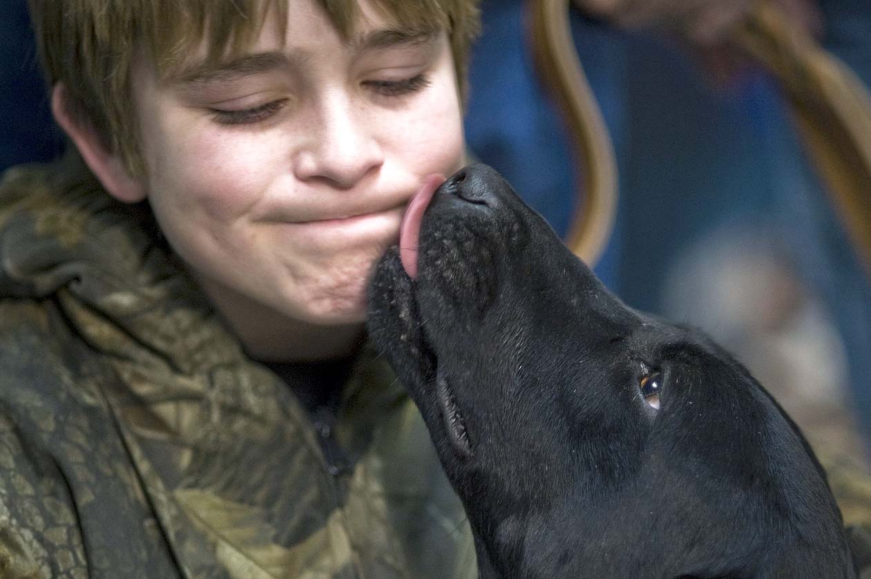 Léchage : Comment Empêcher Votre Chien De Vous Lécher - Remèdes Naturels  Pour Animaux