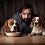 Pourquoi les chiens ne mangent-ils que lorsque leur maître est dans la pièce ?